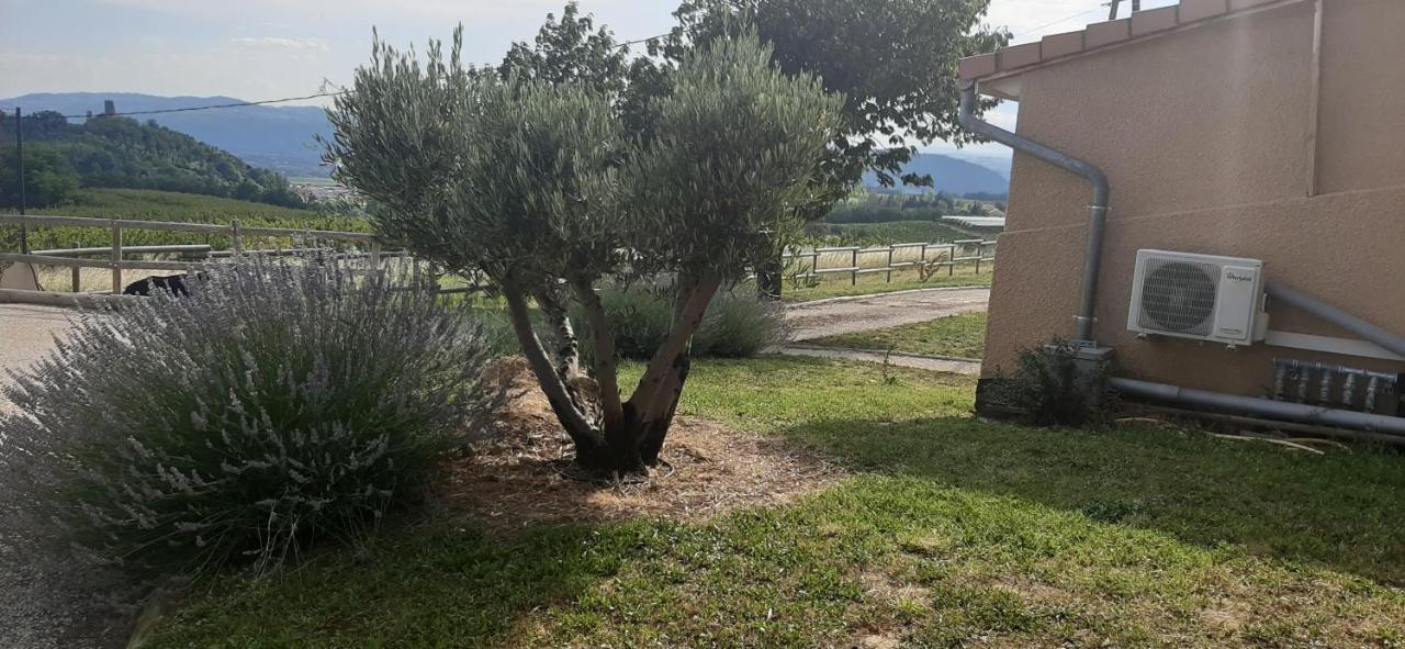 Villa Le Pressoir à Mercurol-Veaunes Extérieur photo